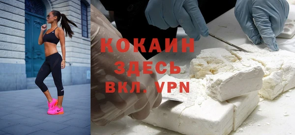 мдпв Вяземский