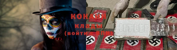 мдпв Вяземский
