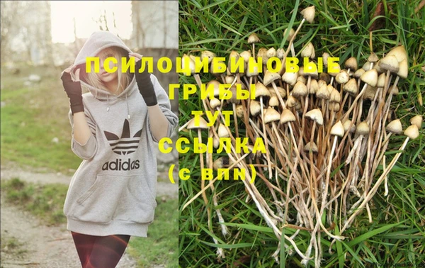 мдпв Вяземский