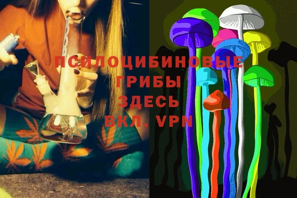 мдпв Вяземский