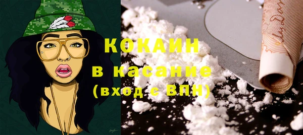 мдпв Вяземский