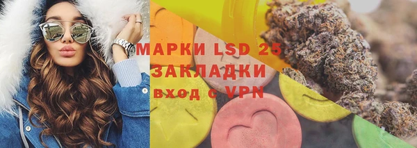 мдпв Вяземский